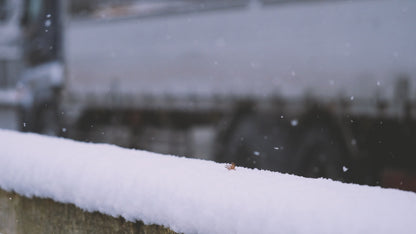 イッセ・スノーソックス　トラック アンド バス